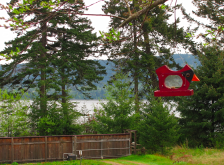 Denman Island House